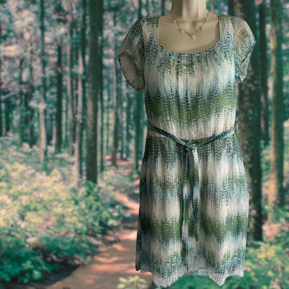 ESPRIT SILK DRESS Garden Fairy Sheer Green & Blue Floral Vines Print Lined 12 US